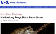 "능력남 장가 잘간다" 개구리 연구로 밝혀져