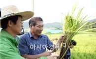 강진원 강진군수, 벼 병해충 발생현장 방문