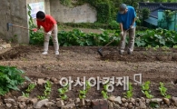 [포토]도시농부 