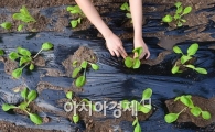 [포토]무럭무럭 자라라 