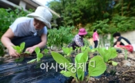 [포토]'우리는 행복한 도시농부'