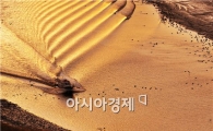 천고마비의 계절, "느낌 있는 도시, 순천으로 오세요"