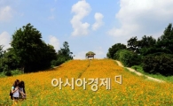 [포토]다가오는 가을