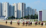 [포토]'힘차게 달리는 경주마'