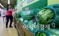 [포토]배추값 급등