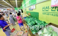 [포토]배추값 급등, 여전히 채소 고르는 시민들