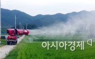 곡성군, 벼멸구 중점방제 추진