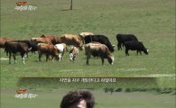 '세상을 품다' 한정수, 몽골 유목민들과 자연의 감동 전달
