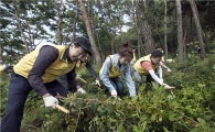 대림산업, 가족과 함께 남산 정화활동