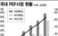 [뉴노멀 시대 금융투자업의 미래]저금리 먹고 사는 PEF