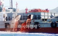 여수시 ‘적조와의 사투’ 59일…적조피해 원천봉쇄