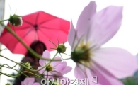 [포토]가을비 수채화 