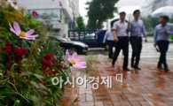 [포토]완연한 가을이네 