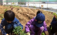 광진정보도서관 옥상 텃밭 조성
