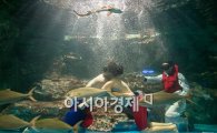[포토]'수중 천하장사 씨름대회'