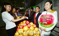 [포토]작은 사과가 더 맛있다 