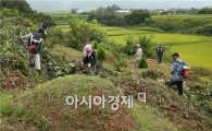 구례군 토지면 의용소방대 무연고묘 벌초 실시