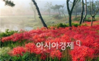 추석 명절 가족과 함께 나들이하기 좋은곳 ?
