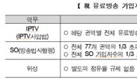 'KT 대 케이블TV' 大戰…9월 국회 방송법 개정 관건 