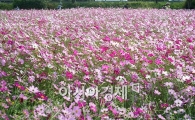 [포토]꽃향기 가득한 연휴 끝자락