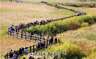 추석연휴 순천시 주요관광지, 관광객 10만여명 방문 '대박'