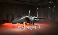 FX사업 부결…앞으로 사업 향방 어떻게