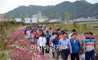 [포토]그윽한 코스모스 향기 인파