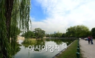 [포토]하늘 아래 하늘 