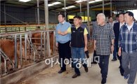 [포토]함평한우 농가 방문한 김한길 민주당 대표