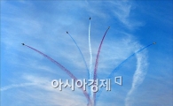 [포토]블랙이글 편대의 에어쇼