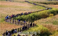 [남도여행]풍요로운 가을, 순천만으로 떠나볼까요?