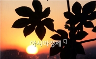 [포토]도심속의 아름다운 낙조