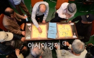[포토]훈수는 반칙입니다 