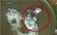 '개구리 분유' 사건…국과수 "판단 불가"