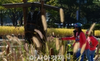 [포토]아름다운 한국의 가을 