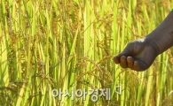 [포토]완연한 가을이구나 