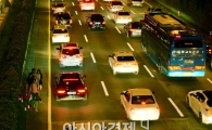 [포토]거리의 무법자?