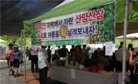 산양삼(장뇌삼)의 진가 세계로 알린다