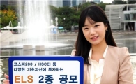 HMC證, 최고 연 10.20% 제공 ELS 등 2종 공모