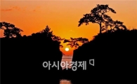 해남 땅끝 '삼치'와 땅끝 맴섬 '일출' 이 만난다