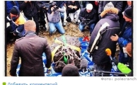 600kg 거대 운석, '그램당 240만원'