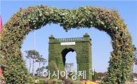[포토]수천만송이 국화로 만든 "독립문" 우뚝 서 