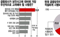"금융보안 인프라 늘리고 전문인력 양성부터 해야"