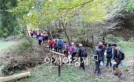 곡성 섬진강 둘레길 ~관광객 화려하게 수 놓아 