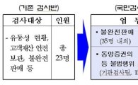 금감원, '국민검사청구' 검사반 구성…검사인력 2배 ↑
