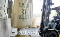 2013년 정읍 단풍미인쌀 본격 수매 
