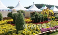 제5회 정남진 장흥 국화페스티벌, 25일부터 개최