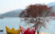 [포토]가을항해 