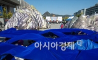 [포토]"광화문광장에 독도가 나타났다!"