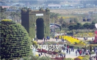 [포토]초가을 국화향기 가득한 함평